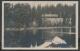 101: Lillevand. Tryvandsbanen. Med tog i motivet sett fra andre siden av lillevann. Postgtt 1921 Utrop: 50